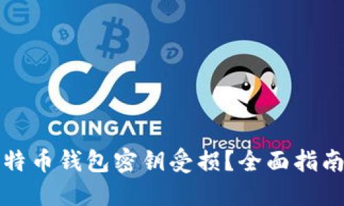 如何应对比特币钱包密钥受损？全面指南与解决方案