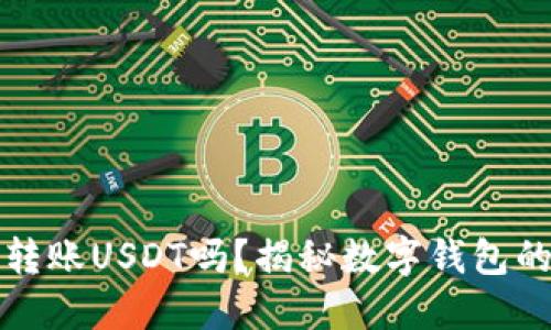 钱包可以转账USDT吗？揭秘数字钱包的转账技巧