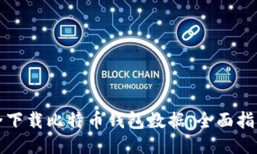 如何安全下载比特币钱包数据：全面指南与技巧