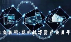 深入解析Bitvito交易所：新