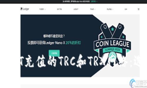  深入解析USDT充值的TRC和TRX网络：选择最佳方案