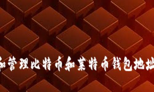 如何创建和管理比特币和莱特币钱包地址：全面指南