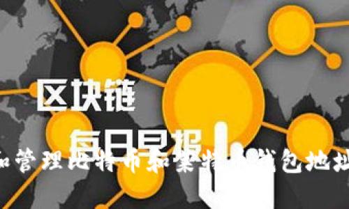 如何创建和管理比特币和莱特币钱包地址：全面指南