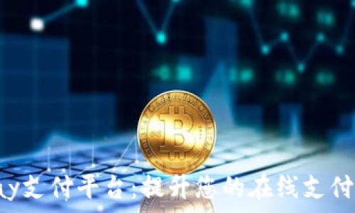   
PPPay支付平台：提升您的在线支付体验