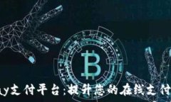   PPPay支付平台：提升您的