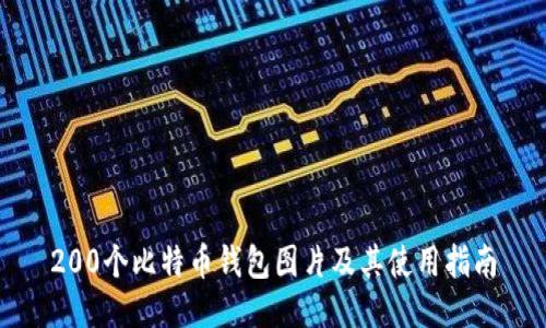 200个比特币钱包图片及其使用指南
