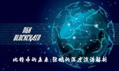 比特币的未来：张鹏的深