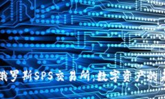 : 深入了解俄罗斯SPS交易所