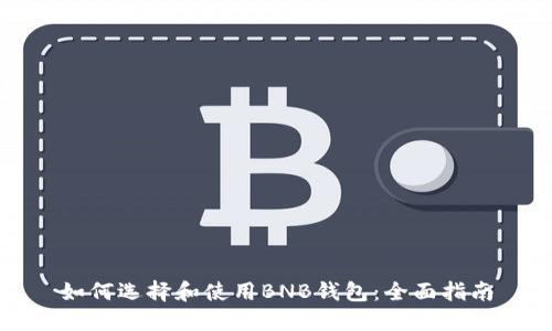 如何选择和使用BNB钱包：全面指南