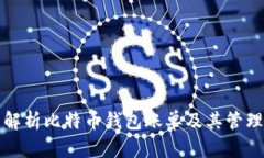 全面解析比特币钱包账单