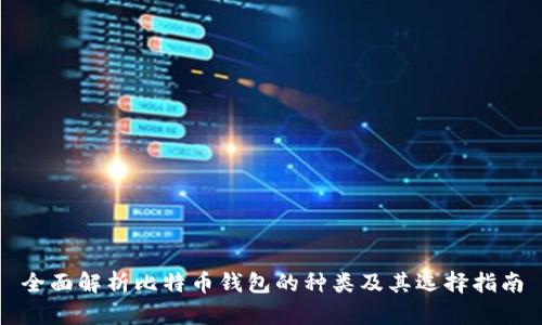 全面解析比特币钱包的种类及其选择指南