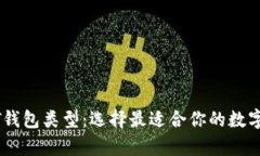全面解析USDT钱包类型：选
