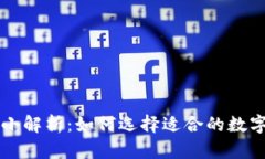 以太坊钱包大小解析：如何选择适合的数字资产
