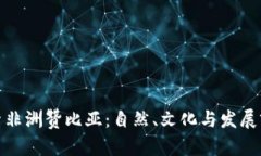 探索非洲赞比亚：自然、文化与发展前景