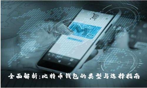 全面解析：比特币钱包的类型与选择指南