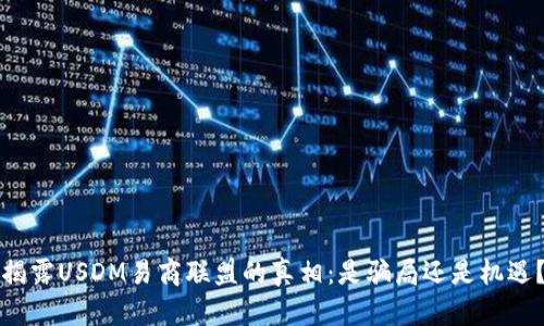揭露USDM易商联盟的真相：是骗局还是机遇？