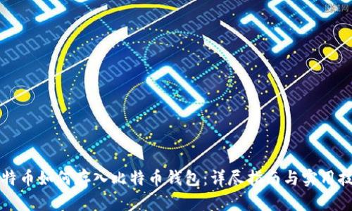 比特币如何存入比特币钱包：详尽指南与实用技巧