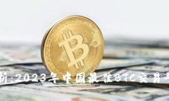 深入解析：2023年中国最佳