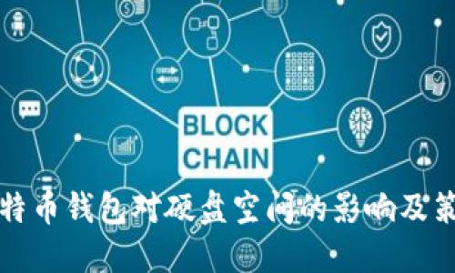 比特币钱包对硬盘空间的影响及策略