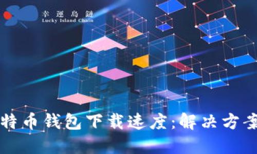 如何提升比特币钱包下载速度：解决方案与最佳实践