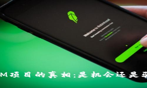 USDM项目的真相：是机会还是骗局？
