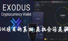 USDM项目的真相：是机会还