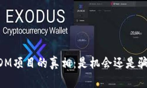 USDM项目的真相：是机会还是骗局？
