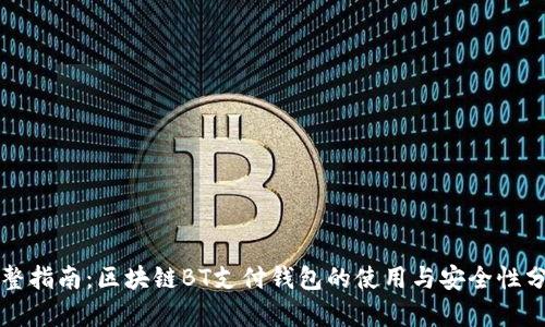 完整指南：区块链BT支付钱包的使用与安全性分析