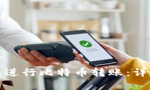 如何使用完美钱包进行比特币转账：详尽指南与实用技巧