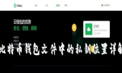 比特币钱包文件中的私钥