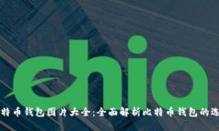 电脑版比特币钱包图片大