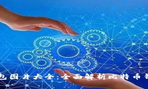 电脑版比特币钱包图片大全：全面解析比特币钱包的选择与功能