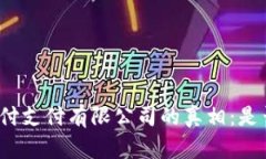 揭开上海汇付支付有限公