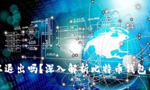比特币钱包可以退出吗？深入解析比特币钱包的功能与安全性