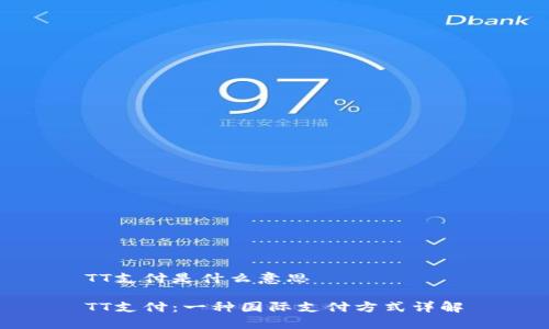 TT支付是什么意思

TT支付：一种国际支付方式详解