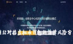 网站对接虚拟币钱包的法