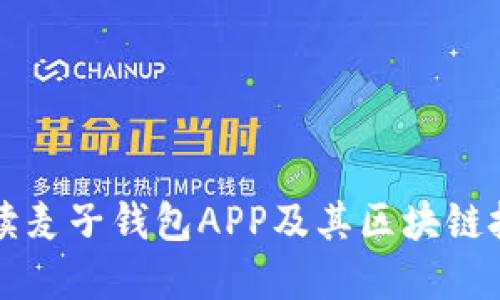 全面解读麦子钱包APP及其区块链技术应用