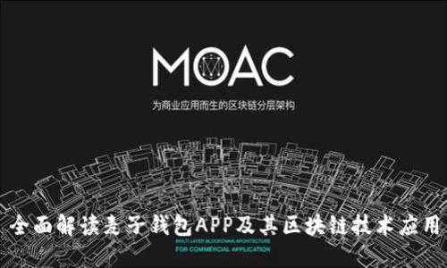 全面解读麦子钱包APP及其区块链技术应用