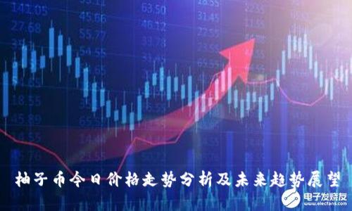 柚子币今日价格走势分析及未来趋势展望