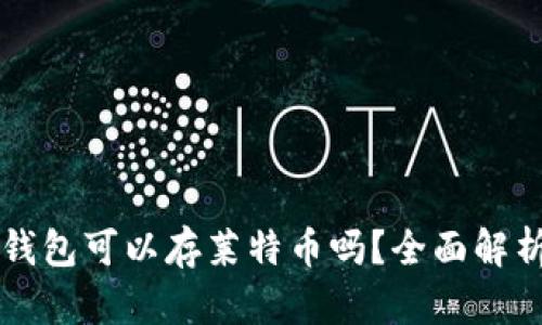 比特币钱包可以存莱特币吗？全面解析与指南