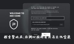 探索赞比亚：非洲心脏的