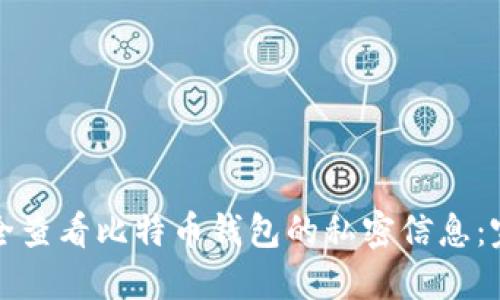 如何安全查看比特币钱包的私密信息：完整指南