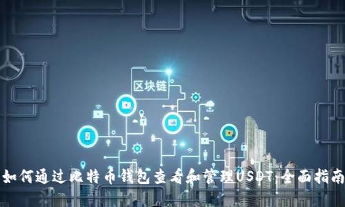 如何通过比特币钱包查看和管理USDT：全面指南