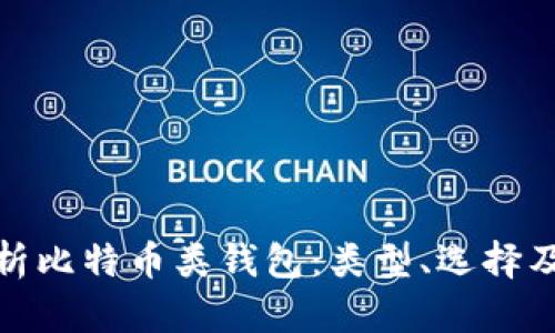全面解析比特币类钱包：类型、选择及安全性