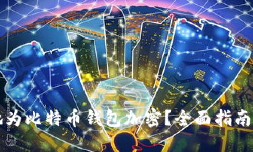 如何安全地为比特币钱包加密？全面指南与最佳实践