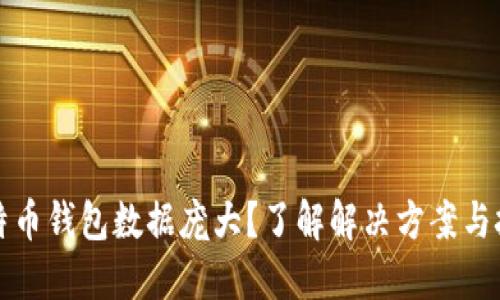 比特币钱包数据庞大？了解解决方案与技巧