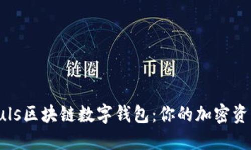 深入解读Puls区块链数字钱包：你的加密资产安全之选