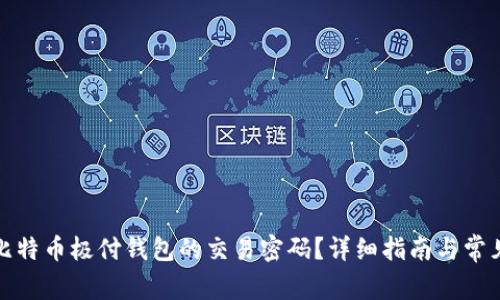 如何找回比特币极付钱包的交易密码？详细指南与常见问题解答