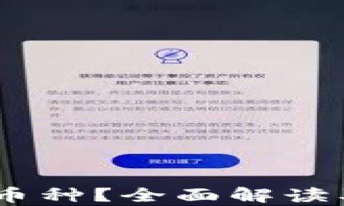 
USDT属于什么币种？全面解读及币排名网分析