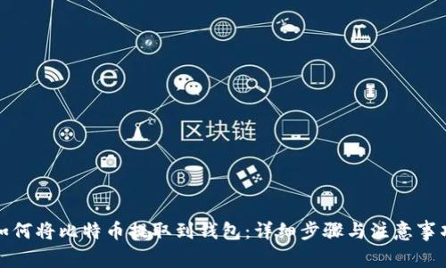 如何将比特币提取到钱包：详细步骤与注意事项
